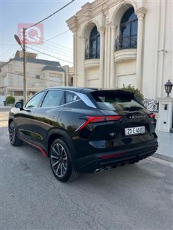 جیتۆر داشينگ